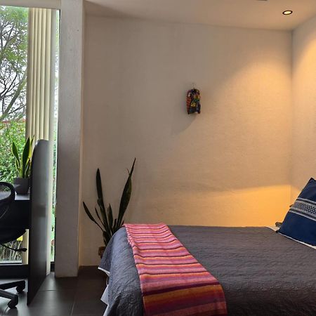 Appartamento Casa Marlui-San Jose Curridabat Esterno foto