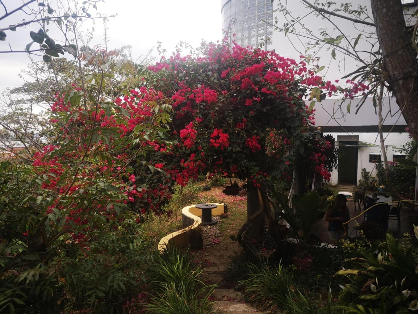 Appartamento Casa Marlui-San Jose Curridabat Esterno foto