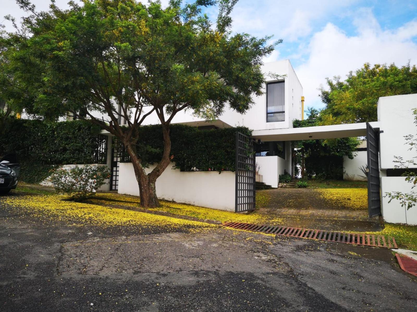 Appartamento Casa Marlui-San Jose Curridabat Esterno foto