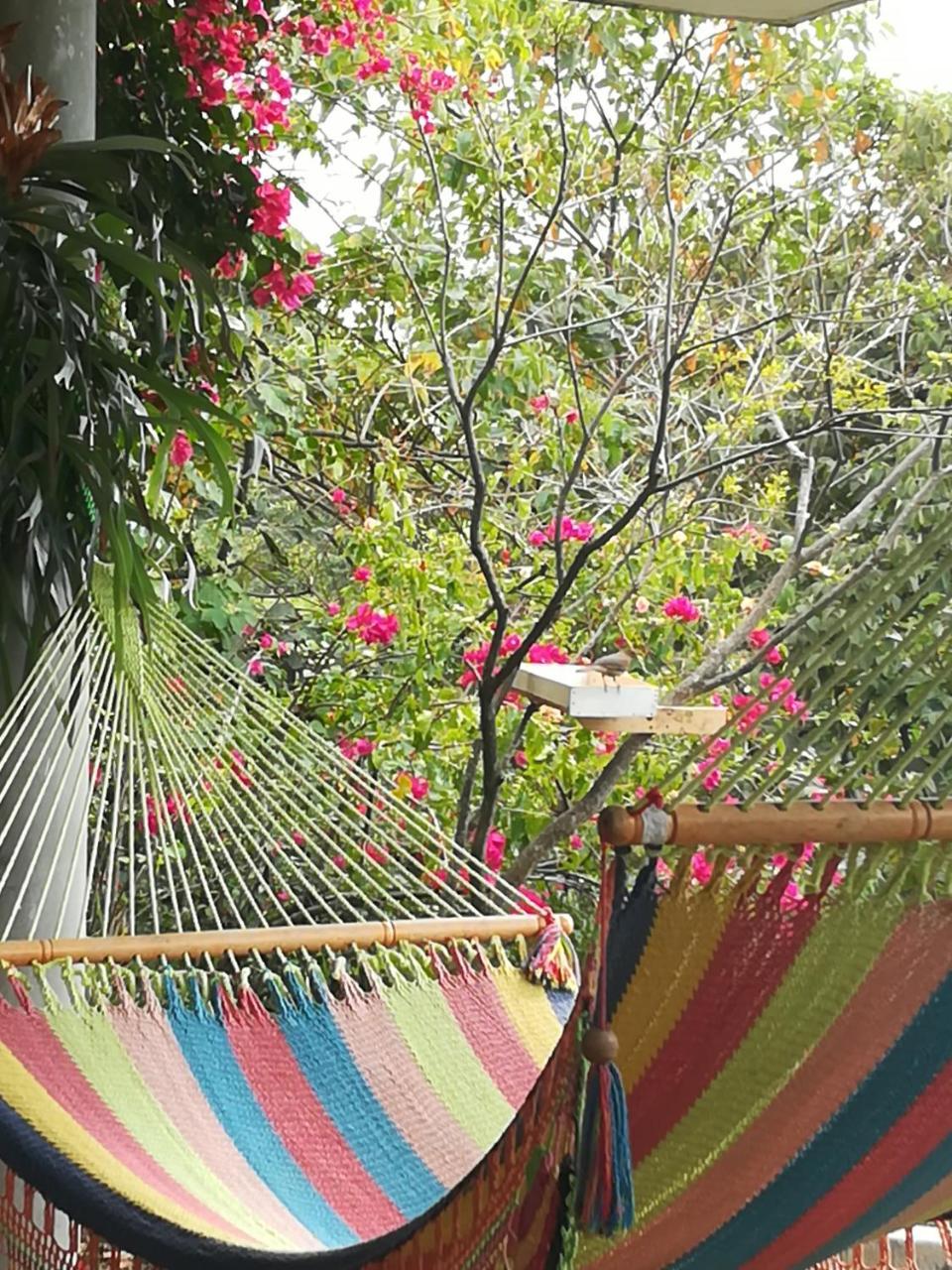 Appartamento Casa Marlui-San Jose Curridabat Esterno foto