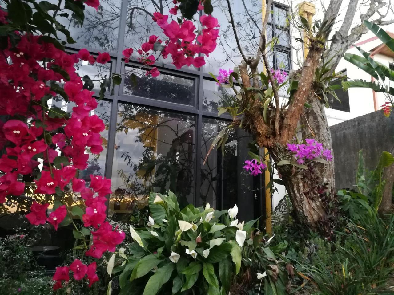 Appartamento Casa Marlui-San Jose Curridabat Esterno foto