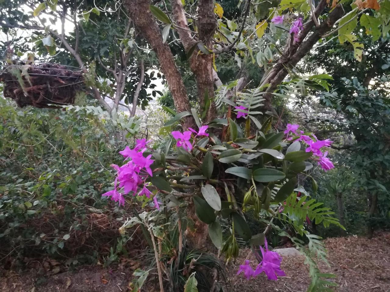 Appartamento Casa Marlui-San Jose Curridabat Esterno foto
